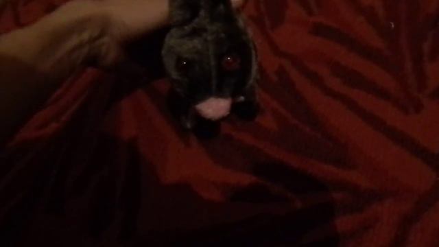 Новый вид зайца смотреть онлайн