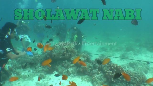 SHOLAWAT JIBRIL PENARIK REZEKI NYATA TERJADI, SHOLAWAT NABI MUHAMMAD SAW TERBARU смотреть онлайн