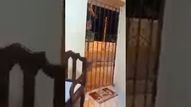 Cocinando con Amarilis. está en vivo Buenas noches, un momento con todos ustedes ❤️❤️ смотреть онлайн