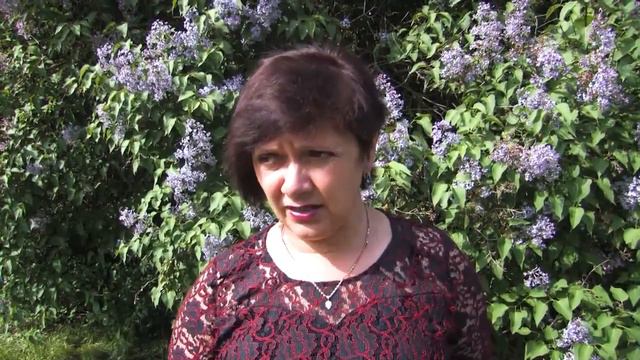 Міжнародний фестиваль "Великодні Дзвони" смотреть онлайн