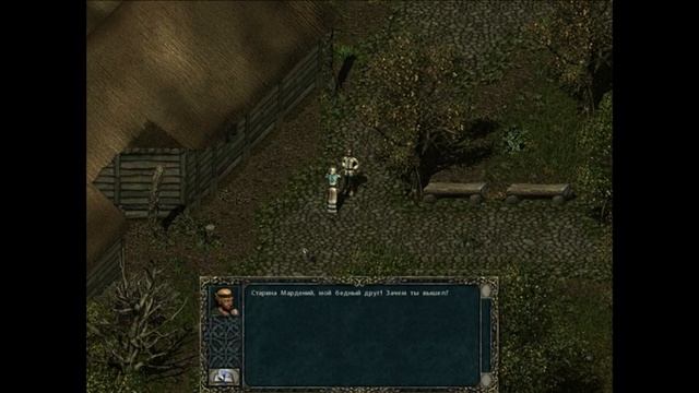 Обзор игры Divine Divinity