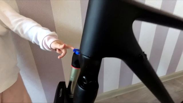 Rock Shox Recon Gold. Первая деталь к проекту.