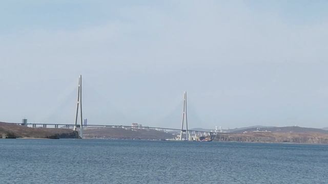 Дневник пандемии: китайские студенты в России смотреть онлайн