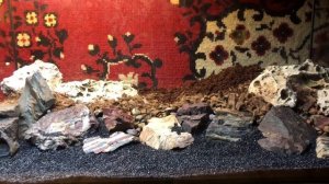 Запуск нового крабариума. Строим домик для крабов.