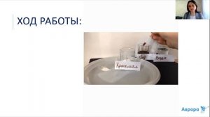 Лабораторная работа «Обнаружение крахмала в продуктах питания»