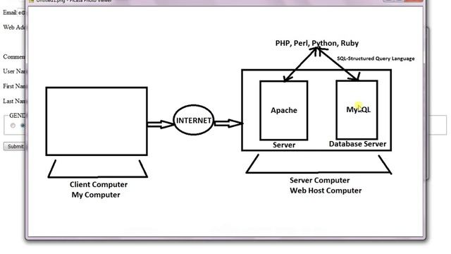 Let me introduce MySQL database server and database to you смотреть онлайн