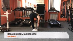 Касание пальцев ног стоя