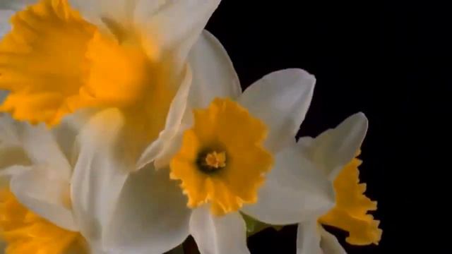 🌹МУЗЫКА ЦВЕТОВ.🌹Очень Красивая Музыка для Души💞