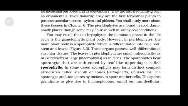Ch 3 Plant Kingdom. Biology Class 11. NCERT Reading only. | Biology Audiobook| ✨ @HiddenStrateG смотреть онлайн