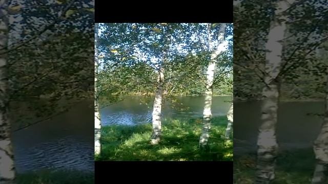 А лето вовсе не ушло.... смотреть онлайн