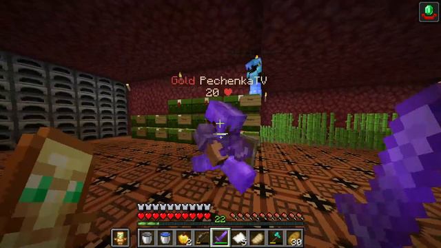Выживаю с подписчиками | Minecraft | 1.16 - 1.16.4 | Раздача привилегий | Свой сервер | VIST-CRAFT смотреть онлайн