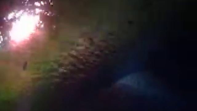 Океанариум Петербурга (Sharks in Saint-Petersburg) смотреть онлайн