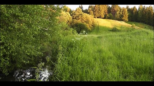 СТРАШНЫЕ ИСТОРИИ - КАК МНЕ ЗАБЫТЬ ТО, ЧТО Я ВИДЕЛ - СТРАШИЛКИ НА НОЧЬ смотреть онлайн