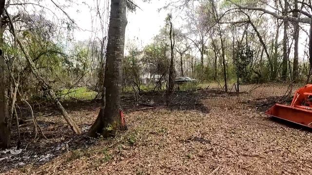 I SET MY WOODS ON FIRE! CONTROLLED BURN IN OLD BYRD FARM CAMP GROUNDS смотреть онлайн