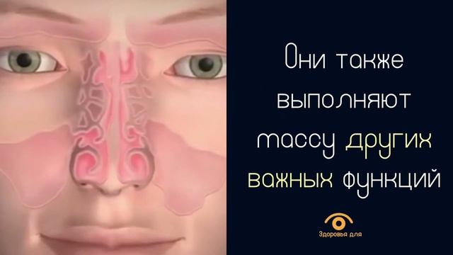 Почему при простуде изменяется голос и мы «гундосим» смотреть онлайн