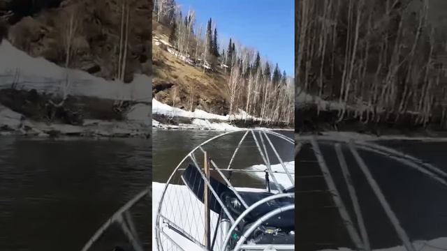 Раненый Лось убегая от медведя наткнулся на людей. смотреть онлайн