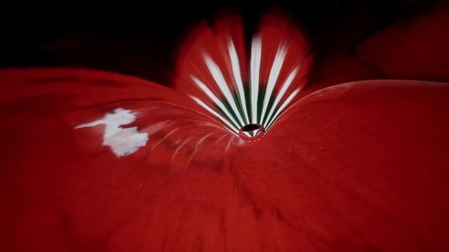 KID A MNESIA EXHIBITION: How To Disappear Completely/You And Whose Army/Pyramid Song смотреть онлайн