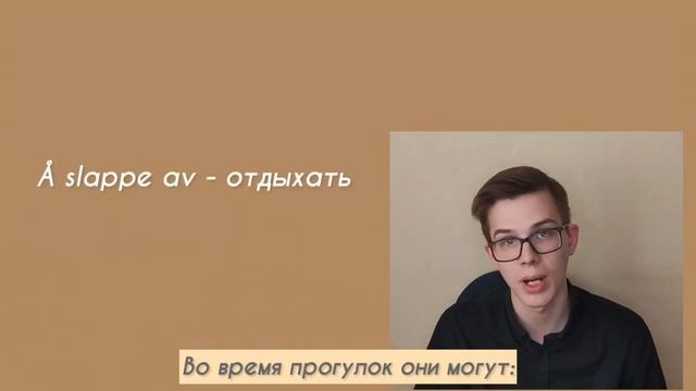 Норвежский для начинающих: лето в Норвегии| [полезные слова и выражения на норвежском языке] смотреть онлайн