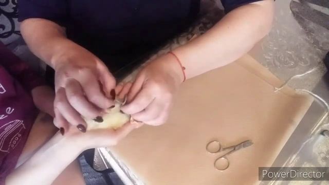 Как Выровнять Цыплёнку Лапу?!/Кривая Лапка у Цыпленка/Что Делать Если у Цыплёнка Разъезжаются Лапки смотреть онлайн