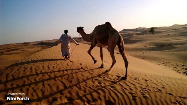 Oriental Music 11 By Psytek Joe (originalsoundtrack)