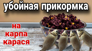 ЛУЧШАЯ ЛЕТНЯЯ ПРИКОРМКА для ловли карася и карпа!!! Дешевый рецепт