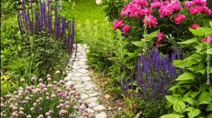 ❀ Как вписать пионы в дизайн участка ландшафтные хитрости и компаньоны для пионов