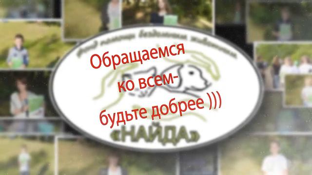 Акция по сбору помощи для Фонда "Найда" Боровичи смотреть онлайн