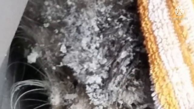 Все обходили стороной этот замерзший комок шерсти. Только этот мужчина остановился смотреть онлайн