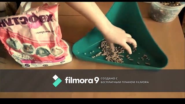 Что нужно при покупки кролика .Стартовые покупки для кролика . Кролик Ася смотреть онлайн