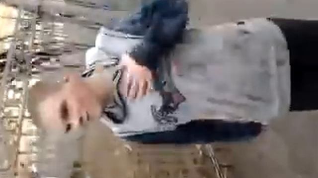 тигр рррр:D смотреть онлайн