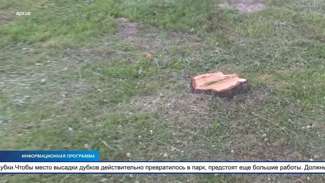 Парк «100 дубов» в скором времени будет разбит в Ахтмеской части города смотреть онлайн