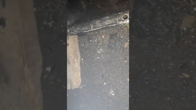 Прожигание сетки картерных газов ауди 80 б4 абк смотреть онлайн