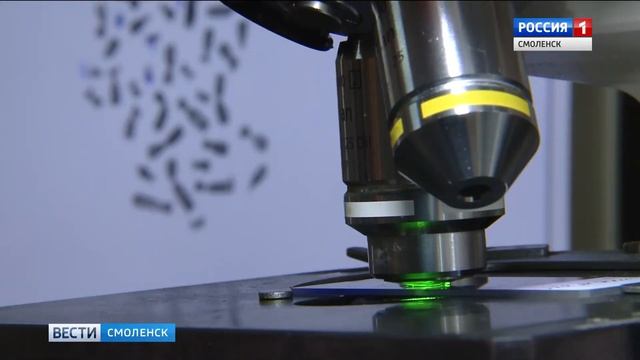 Уникальная смоленская лаборатория бесплатно диагностирует генетические заболевания смотреть онлайн