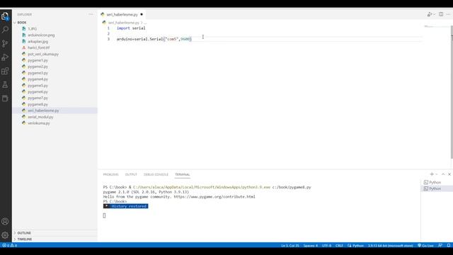 Arduino'daki Veriler Python'da Nasıl Görüntülenir? | Seri Port Okuma смотреть онлайн