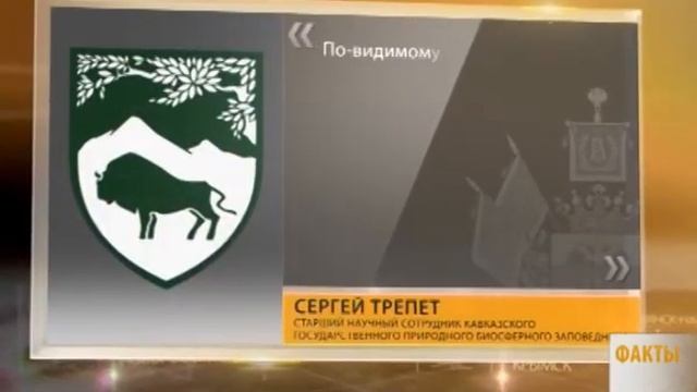 Осторожно! Леопард в Мостовском районе! смотреть онлайн