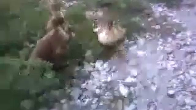 тайсон против али смотреть онлайн