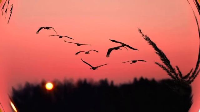 ВАЛЕРИЙ СЕМИН ОСЕНЬ ЗОЛОТАЯ смотреть онлайн