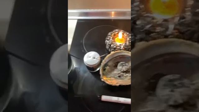 Кровь Дракона. Использование в магии, свойства смотреть онлайн