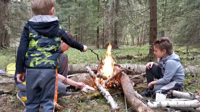 Строчок, костёр и сосиска. смотреть онлайн