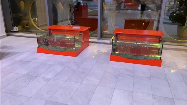 WALKING VIEW MOSCOW AQUAPARK LUZHNIKI 4K - ПРОГУЛКА ОБЗОР АКВАПАРК МОСКВА ЛУЖНИКИ смотреть онлайн