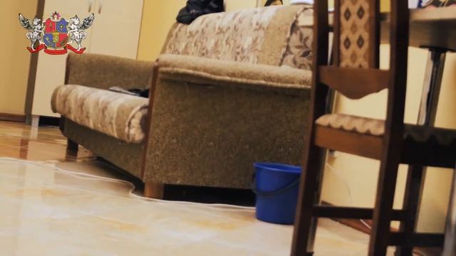 Дрессировка собак. ВИРС смотреть онлайн