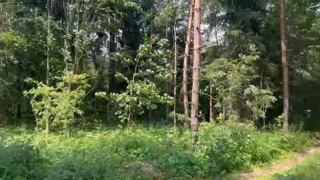 Видео 2090 смотреть онлайн