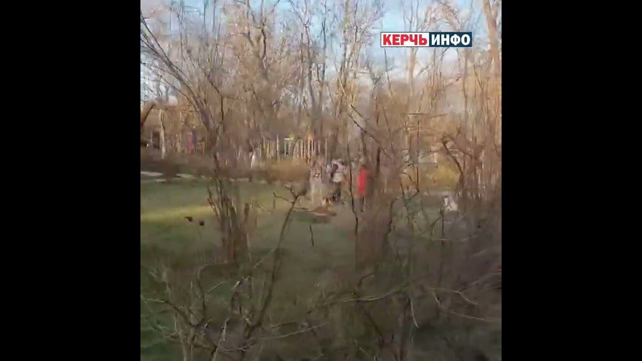 Животные без намордников все загадили керчанка пожаловалась на собачников смотреть онлайн