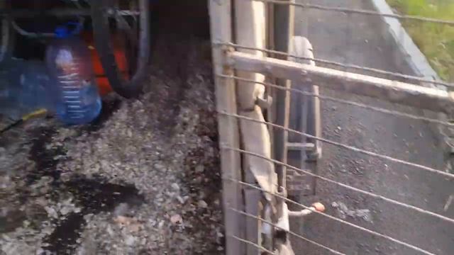 Едем на Ч.М.по футболу. Омск смотреть онлайн