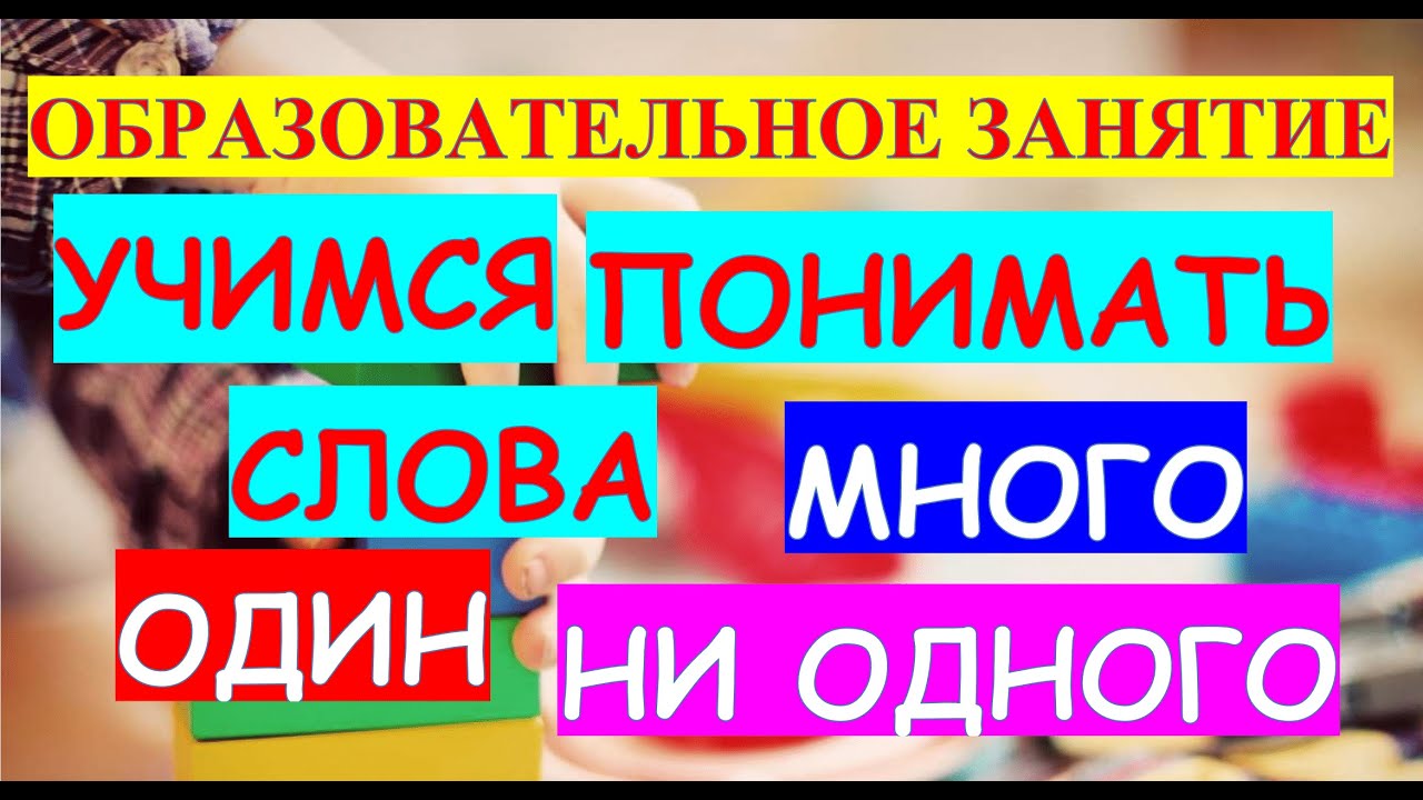 Образовательное занятие Тема Учимся понимать слова Много один ни одного смотреть онлайн
