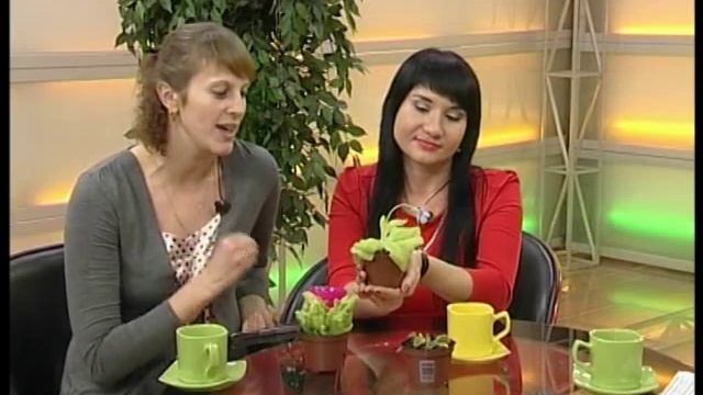 Е. Карякина и Н. Бычковская // Оранжевое утро 09.11.15 смотреть онлайн