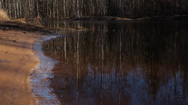 Весна наступает - 4K - Ultra HD смотреть онлайн