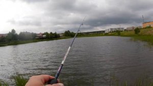 Как ловить на дропшот