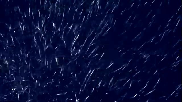 Танго снежной королевы смотреть онлайн