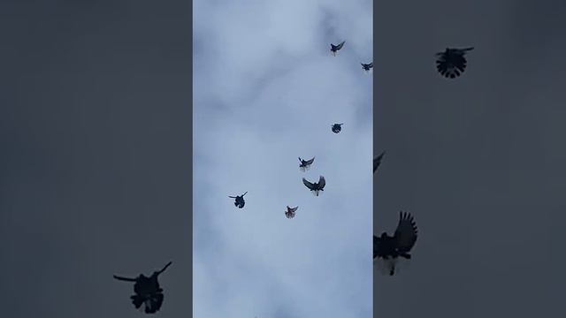 11 февраля 2024 г.